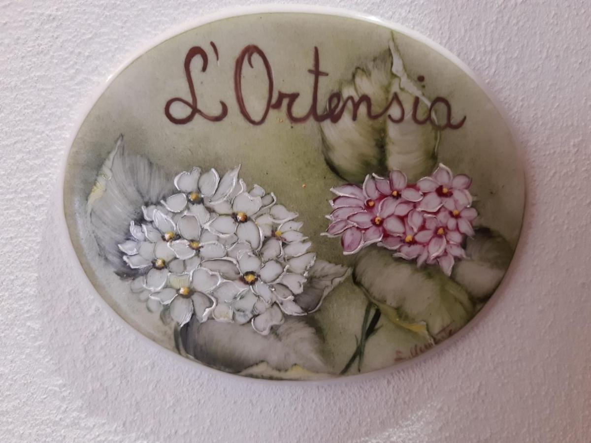 Apartament L'Ortensia Pigna Zewnętrze zdjęcie